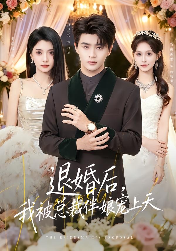退婚后，我被总裁伴娘宠上天（60集）