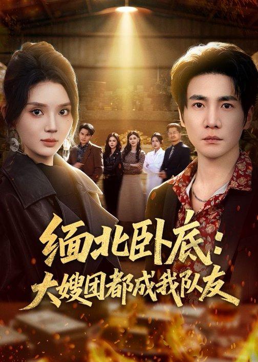 缅北卧底:大嫂团都成我队友(71集)