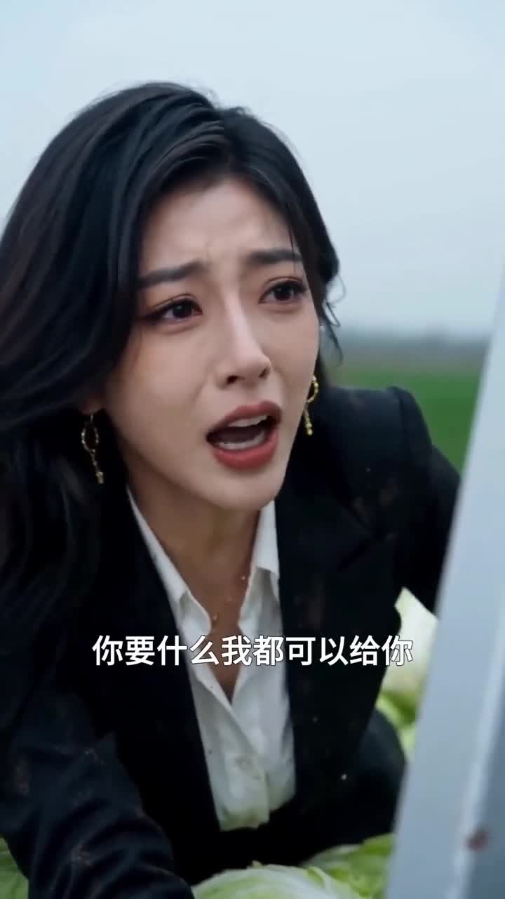 龙泉山下,与你共守烟火(42集)
