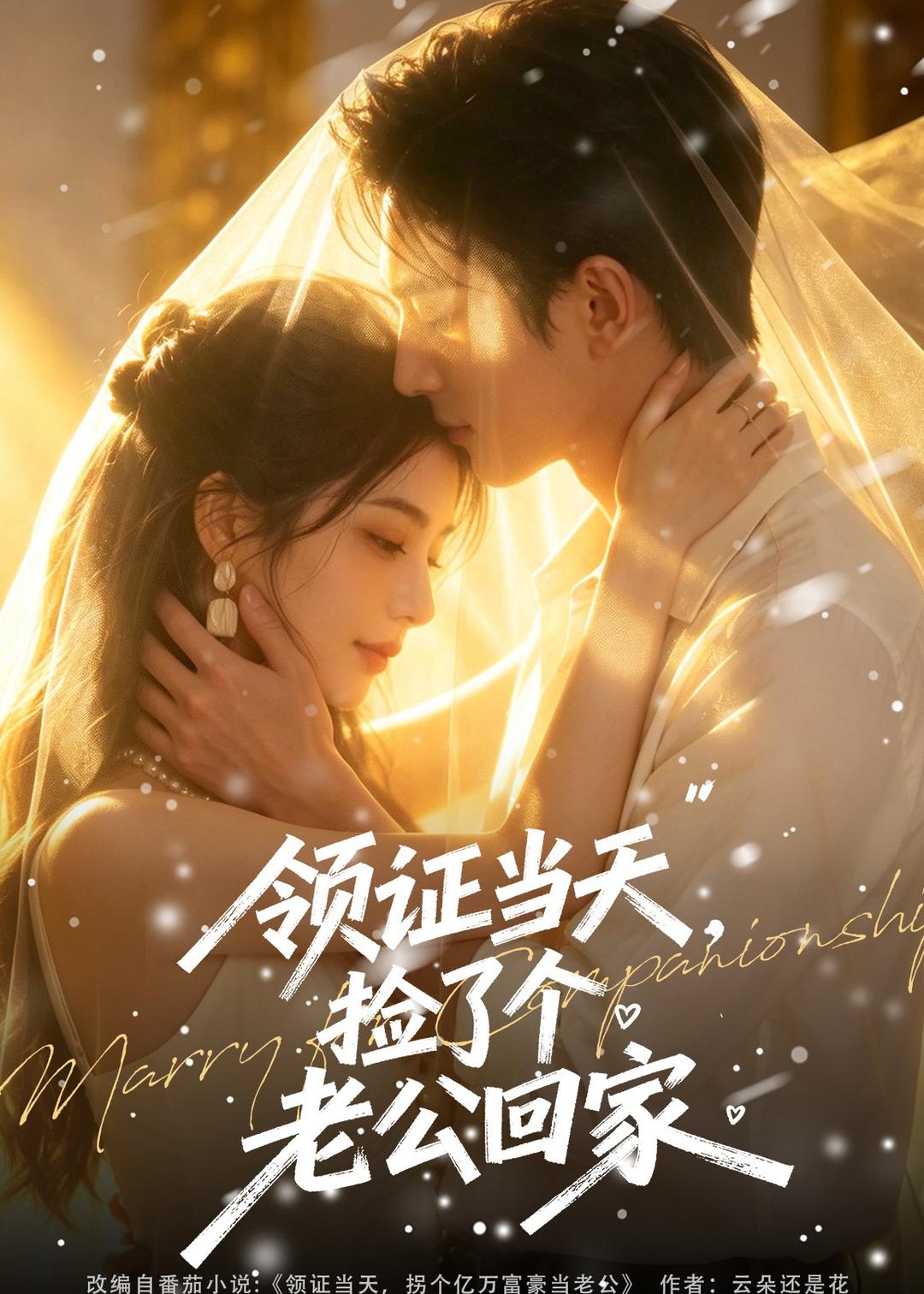 领证当天,捡了个老公回家(80集)