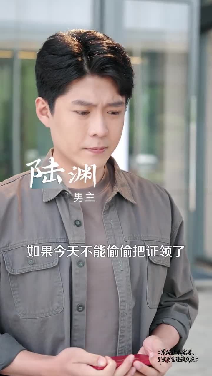 系统让我宠妻，引发财富连锁反应（103集）