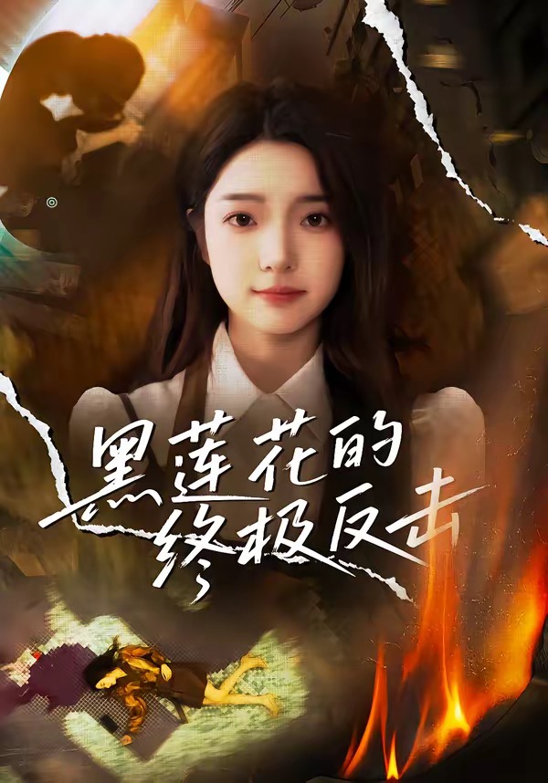 黑莲花的终极反击（60集）