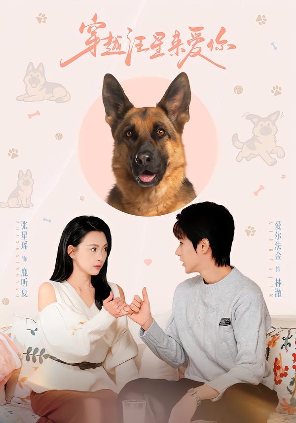 穿越汪星来爱你（62集）